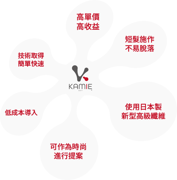 KAMIE 高單價高收益 短髮施作不易脫落 使用日本製新型高級纖維 可作為時尚進行提案 低成本導入 技術取得簡單快速